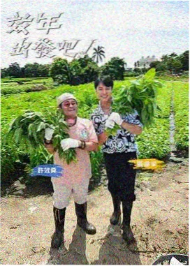 木兰影院图鉴标本:食单夜话场域节奏封面